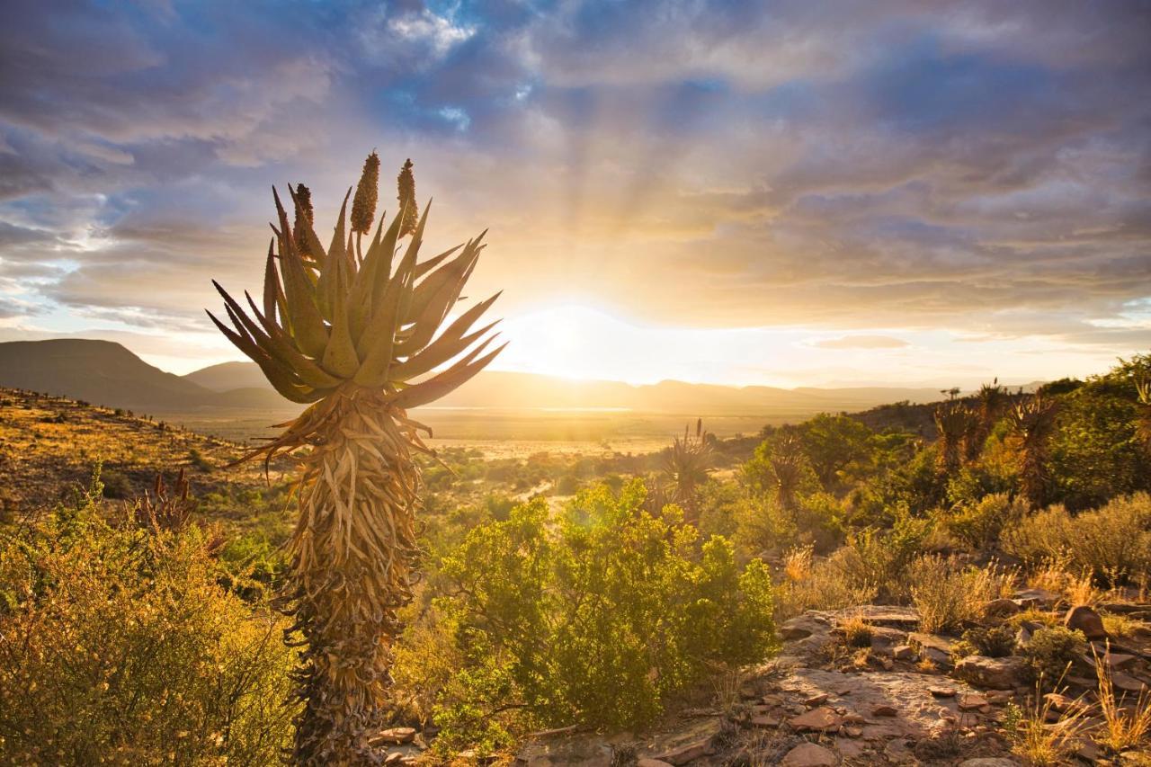 Sunbird Cottage Graaff-Reinet Dış mekan fotoğraf