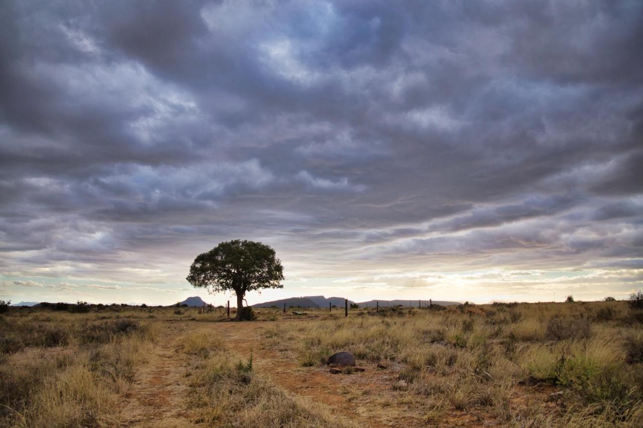 Sunbird Cottage Graaff-Reinet Dış mekan fotoğraf